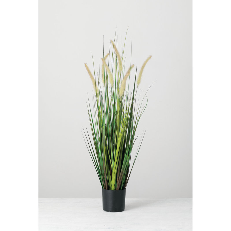 Faux Dogtail Grass in Pot, 38" H x 10" W x 10" D