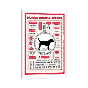 cuanto cuesta un parson russell terrier