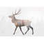 Deer and Forest Rustic Living Room-281592024