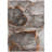 Alfonzo Washable Abstract Indoor / Outdoor Rug-895547275