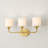 Rozenia 3 - Light Dimmable Vanity Light-262429079