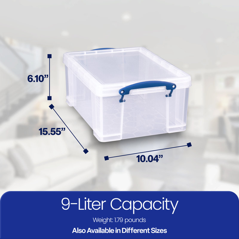 Ebern Designs Plastic Bin, 2-Pack, 9.51 qt