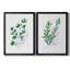 Freshly Picked I - Ensemble de 2 reproductions d'art sur toile encadrées-61455492-61455494