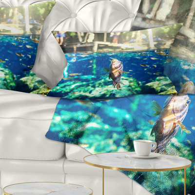 Large Fish in Ik Kil Cenote Mexico - Landscape Printed Pillow