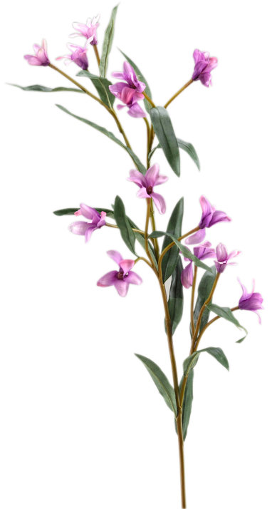Spike Flower Arrangement
