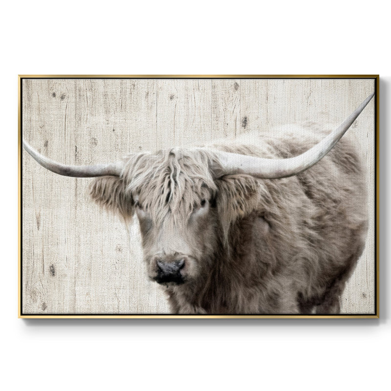 Toile tendue encadrée Longhorn, Or, H 17 po x l 25 po x P 2 po