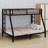 Bunk Bed For Teens And Adults-859457171