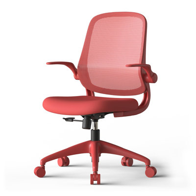 Ergonomic Office Chair with Flip-Up Arms, Mesh Desk Chair, home office chair computer chair ergonomic desk chair lumbar support chair rolling swivel chair