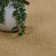 Waverly Indoor Rug