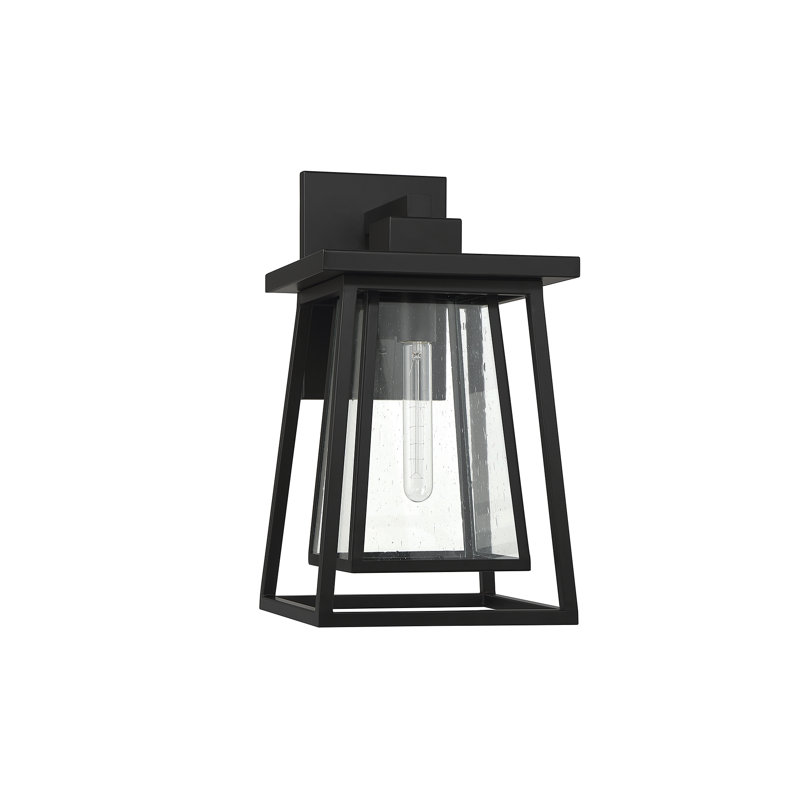 Buchanan Black 1 - Bulb Seeded Outdoor Wall Lantern, 18" H x 10" W x 11" D