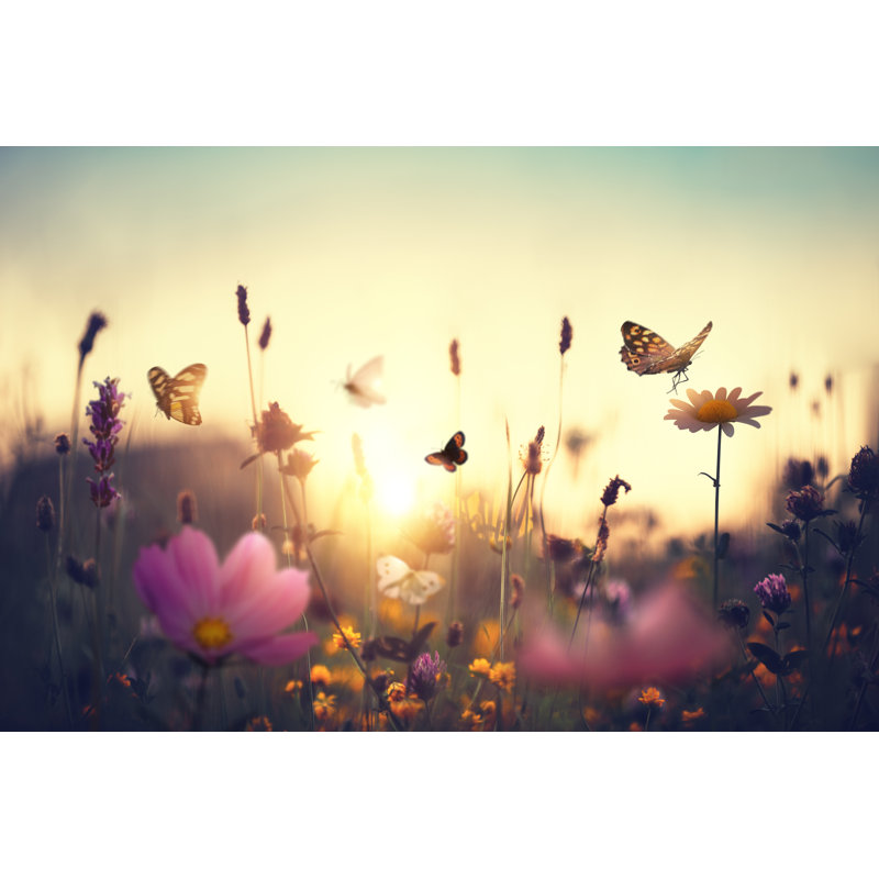 Sunset Meadow With Butterflies by Borchee - Wrapped Canvas Print, 30cm H x 46cm W