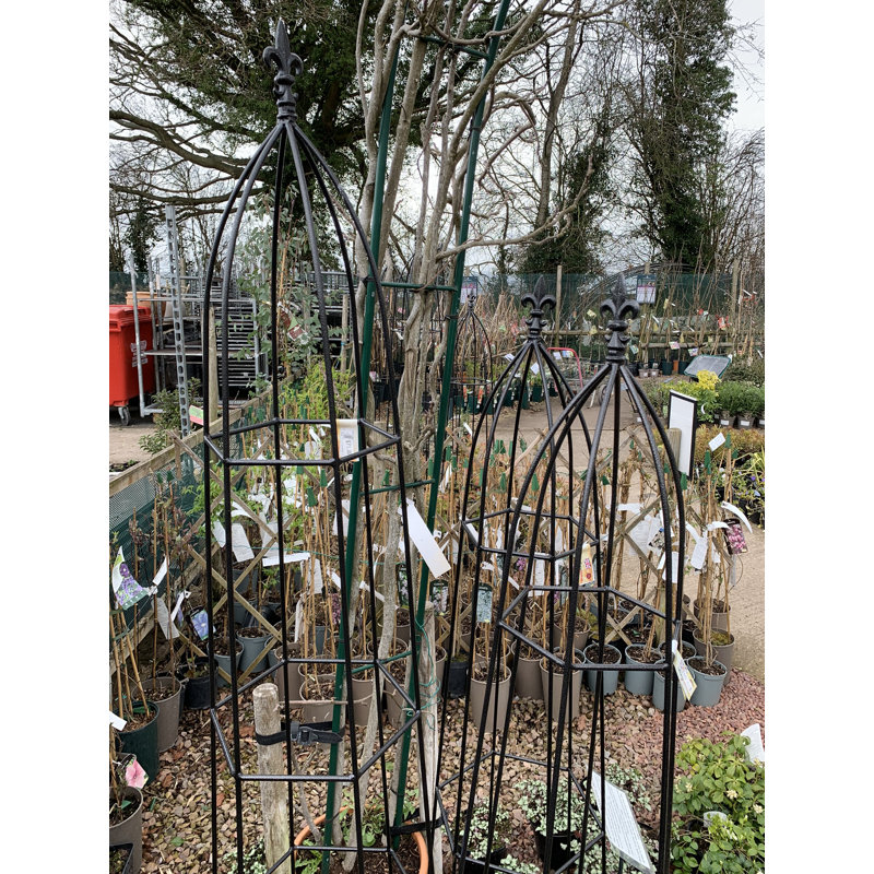 Amina Obelisk Trellis, Black, 160cm H x 38cm W x 38cm D