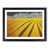 Black Framed selected