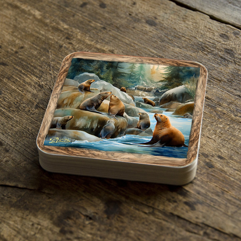 Ensemble-cadeau Coastal Sea Lions