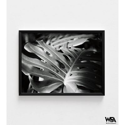 Reproduction de photo encadrée de plante de fromage suisse, art mural photo noir et blanc Monstera, impression de photo botanique, art mural encadré, art mural surdimensionné