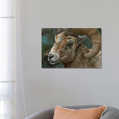 Portrait Of A Bighorn Sheep by David Stribbling - Wrapped Canvas Gallery-Wrapped Canvas Giclée