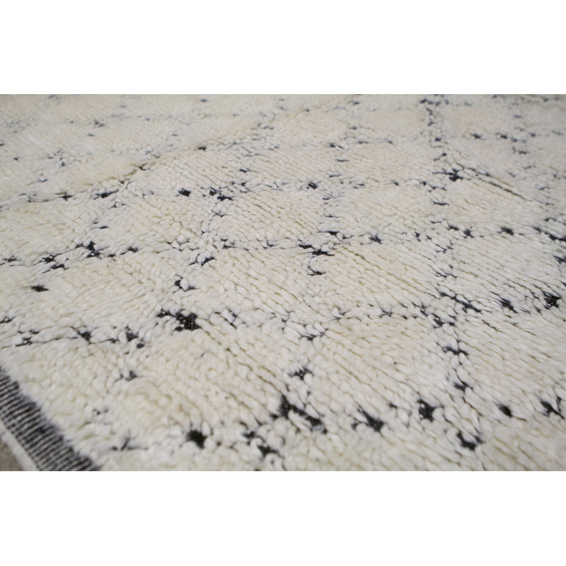Hand-Knotted High-Quality Ivory and Black Area Rug