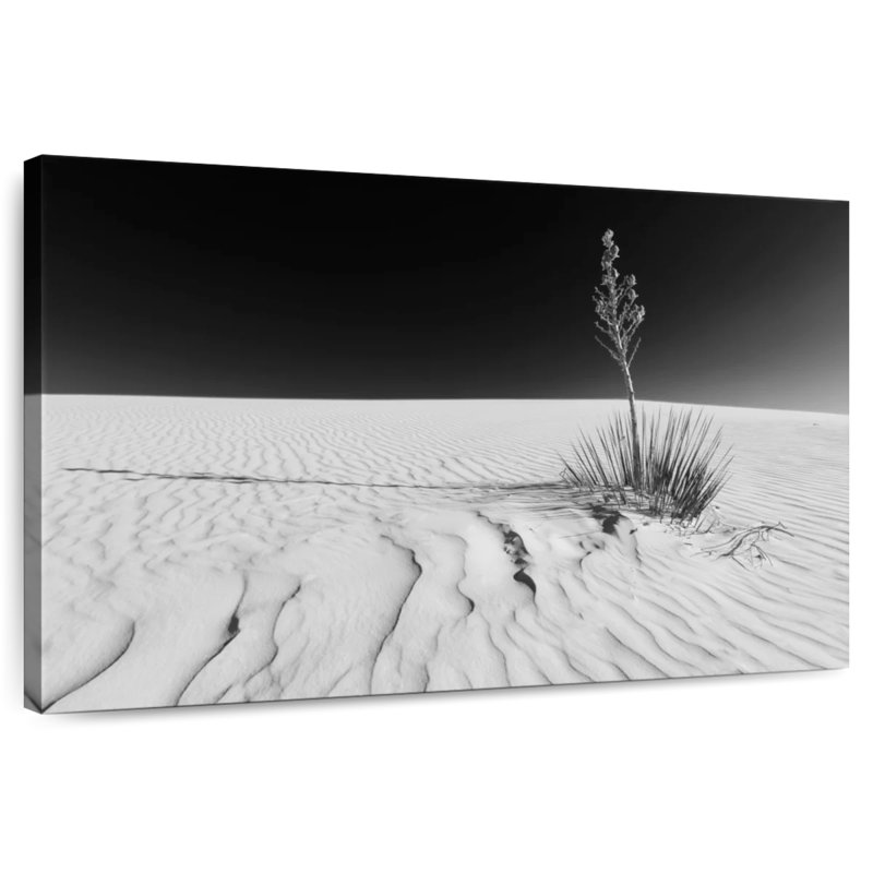 Alvord White Sands Impression monochrome, H 8 po x l 12 po