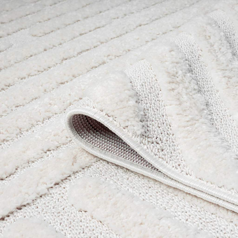 Navdia Rectangular 160 X 230cm Area Rug