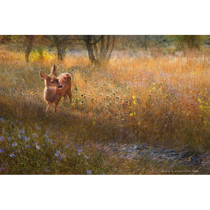 Flowered Meadow Fawn by Chris Vest - Wrapped Canvas Print, 51cm H x 76cm W x 3.81cm D
