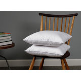 Wayfair Basics® Didomenico Euro Square Pillow Insert