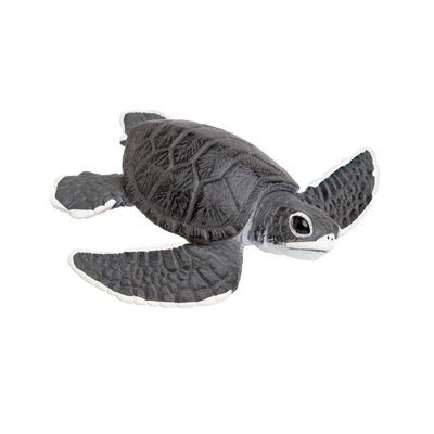 Tortue de mer