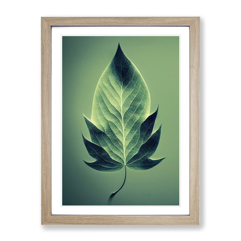 Single Plant Leaf No.1 - Framed Print, 34cm H x 25cm W x 2cm D, Oak Framed