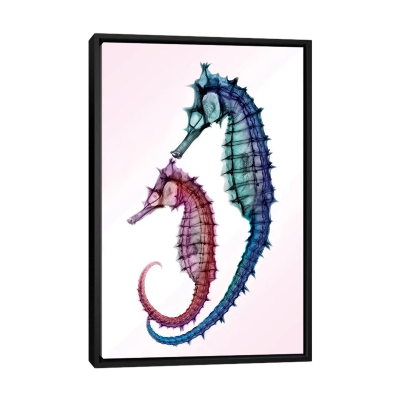 «Seahorse», impression sur toile, H 26 po x l 18 po x P 1,5 po, Toile avec cadre noir, Pas de tapis