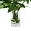 Organic Modern Faux Philodendron-950900972