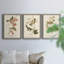 Oiseau de riz Wandering, reproduction d'art sur toile-1813864143-1813864245