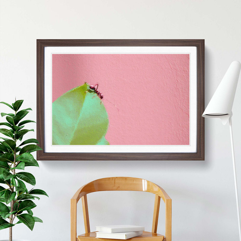 Red Ant - Picture Frame Photograph Print, 48cm H x 65cm W x 2cm D, Walnut Framed