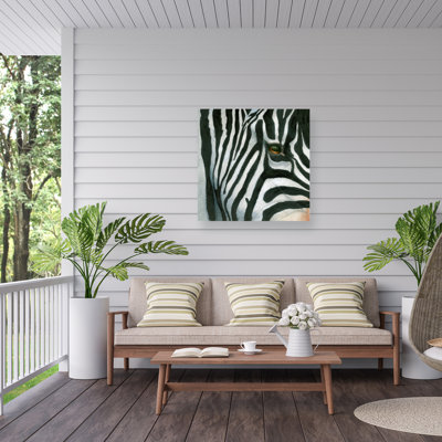 Dave Bartholet Zebra Outdoor  Canvas