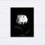 « white rose on black background », reproduction de photo sur toile