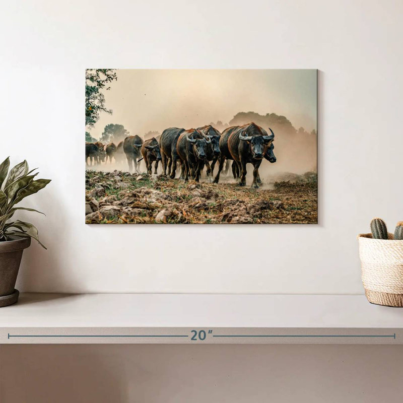 Brampt Buffalos On The Move, 8" H x 12" W