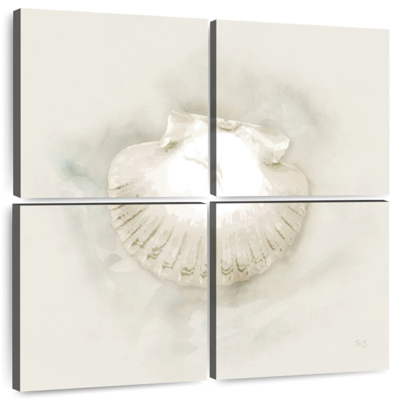 Aletra sable doux et coquille II
