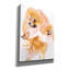 "Pomeranian" par Barbara Keith-1904867283