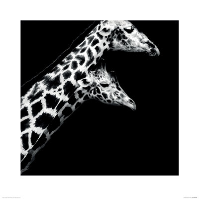 In Love II 1 Piece Wall Art