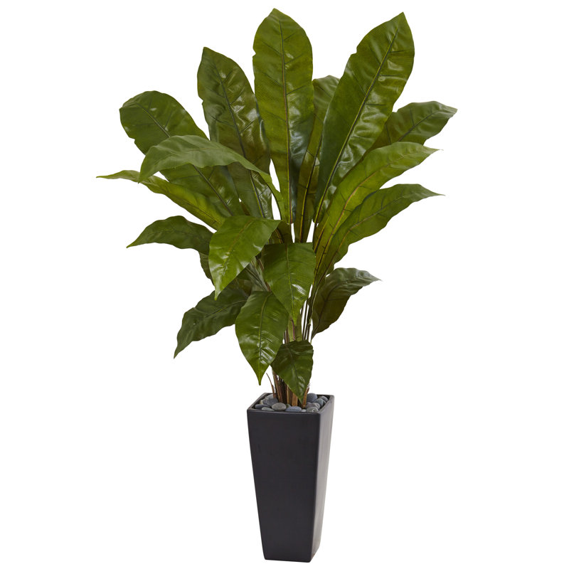 Plante de sol pour plantes artificielles 39