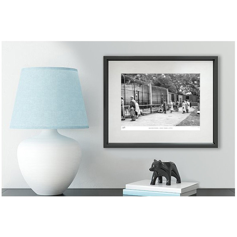 Maidstone, Zoo Park C1955 by Francis Frith - Single Picture Frame Print, 40cm H x 50cm W x 2.3cm D