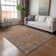 Machine Washable Indoor/Outdoor Kaczor ACN2231 Global Rug