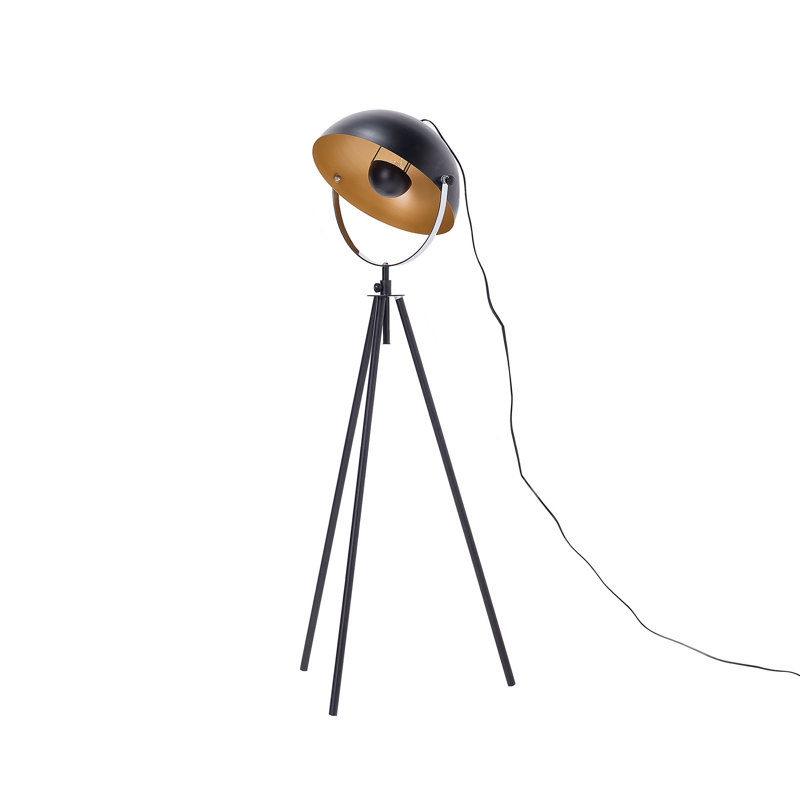 Caringorm 170cm Black Tripod Floor Lamp
