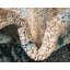 Tapis bleu Estelle-40279345
