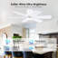 Ventilateur de plafond 46 po à 6 pales avec ensemble d'éclairage et télécommande-1302087475