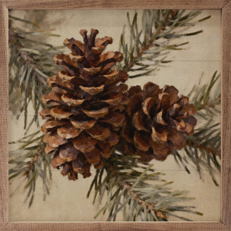 Large Pine Cones, H 4 po x l 4 po