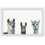 Art encadré Agawam Llama Squad-33744050-32694375