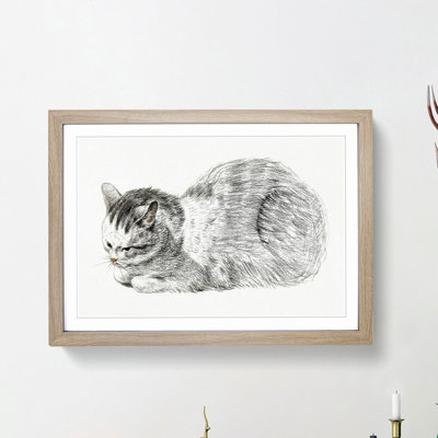 Restful Cat by Jean Bernard - Picture Frame Drawing Print