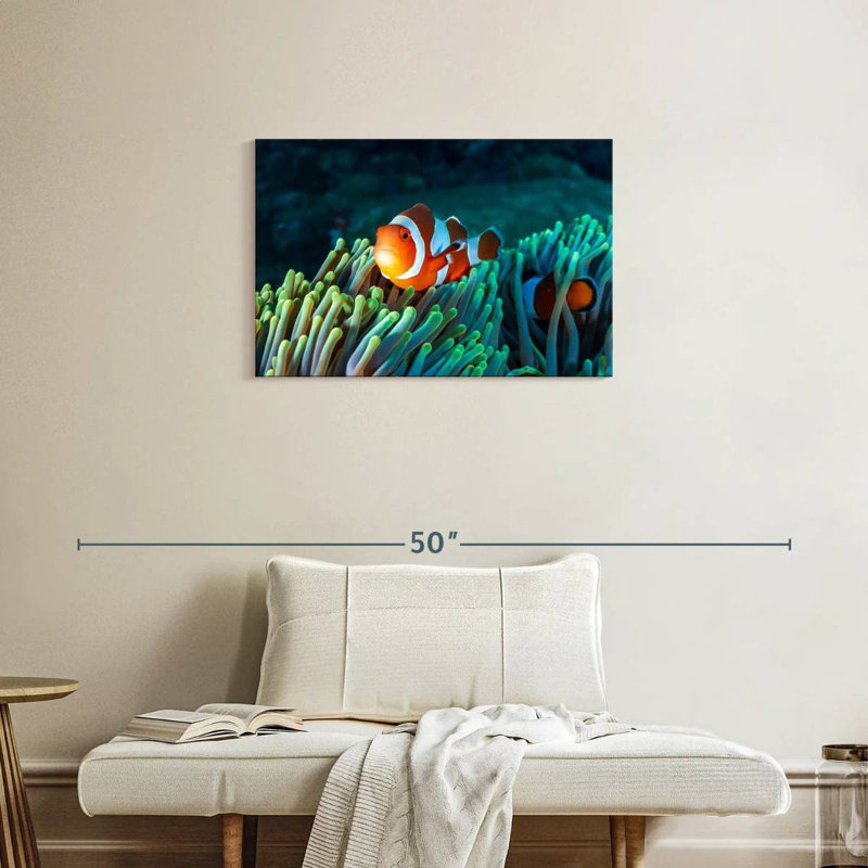 Brampt Frowning Clownfish, 20" H x 30" W