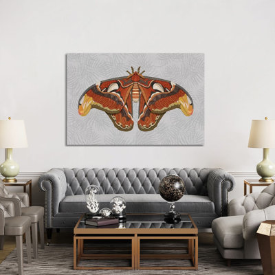 Atlas Moth - Light by Angelika Parker - Wrapped Canvas Print