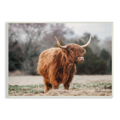 "Serene Highland Bovins", "Pâturages champêtres" par Dakota Diener