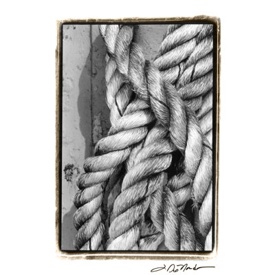 Tied Up I by Laura DeNardo - Wrapped Canvas Art Prints